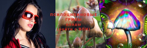 хмурый Алзамай