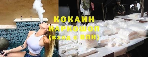 хмурый Алзамай